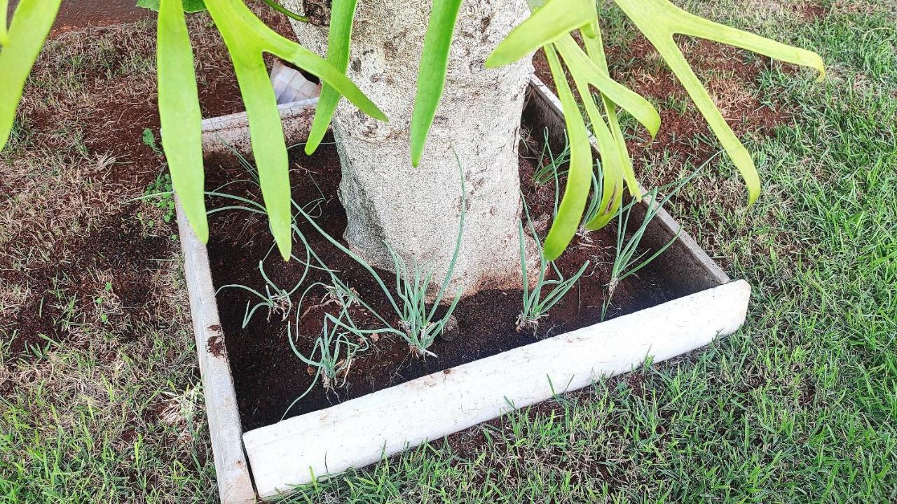 Villa Linda Casa Bairro Tranquilo Prox Cataratas Foz do Iguaçu Exterior foto